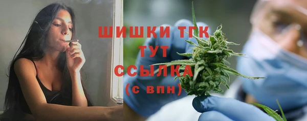ECSTASY Дмитриев