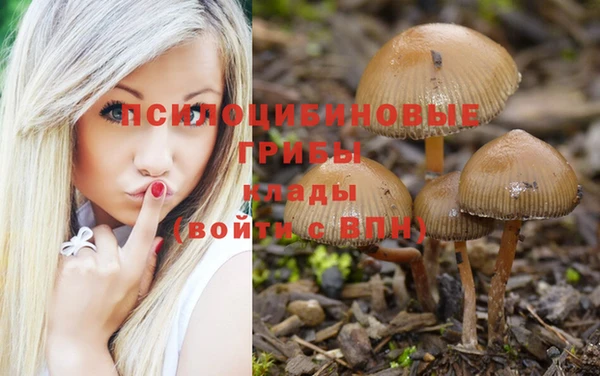 каннабис Дмитров