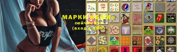 ECSTASY Дмитриев