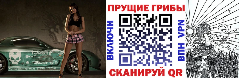Галлюциногенные грибы Psilocybe  мориарти официальный сайт  Холм 